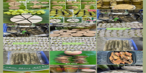  An Thư Hải Phòng - CS Sản Xuất Thực Phẩm Thuần Chay - Vegan food organic 